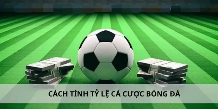 Tìm Hiểu Cá Cược Bóng Đá Hi88: Hành Trang Cho Người Mới 2 Tìm Hiểu Cá Cược Bóng Đá Hi88: Hành Trang Cho Người Mới