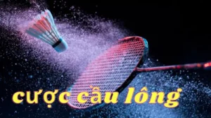 Hướng Dẫn Cách Chơi Cá Cược Cầu Lông Tại Hi88 Nhanh Chóng, Hiệu Quả