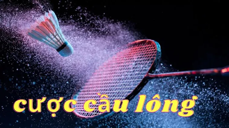 Hướng Dẫn Cách Chơi Cá Cược Cầu Lông Tại Hi88 Nhanh Chóng, Hiệu Quả