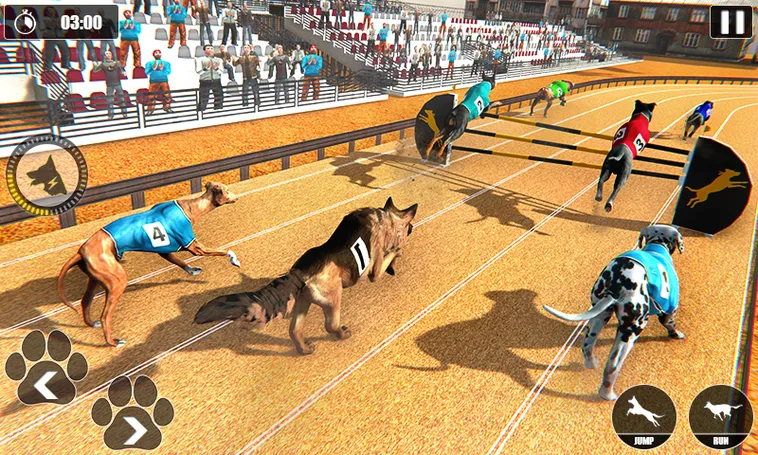 Hướng Dẫn Chơi Game Đua Chó Nhanh Tại Hi88 Một Cách Hiệu Quả 2 Hướng Dẫn Chơi Game Đua Chó Nhanh Tại Hi88 Một Cách Hiệu Quả